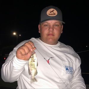 Meet your Posher, Dylan